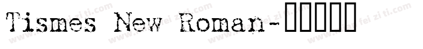 Tismes New Roman字体转换